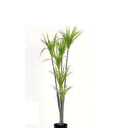 Planta dracena variegada 120 cms (artificial)